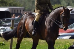 Sarah Ambler and Humphrey