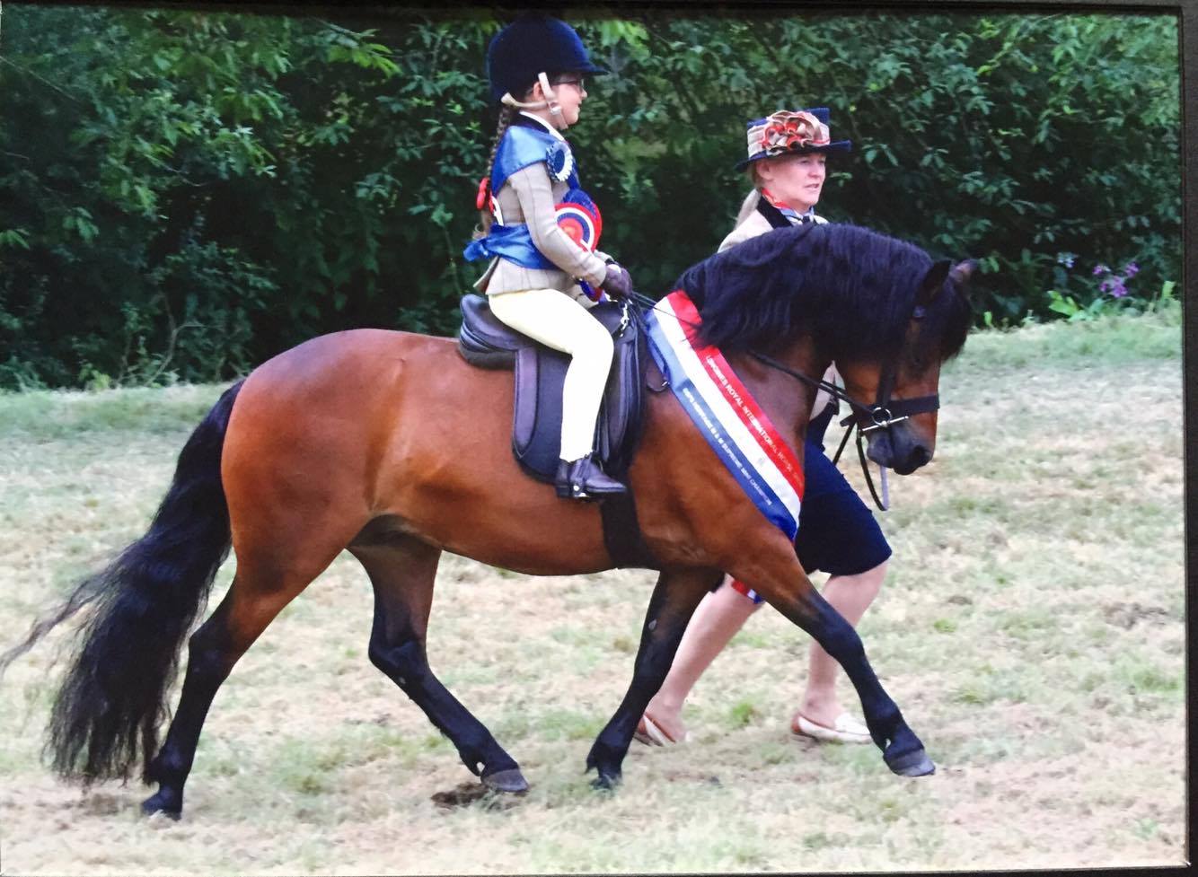 Hackamore Jorja Brown and Emilia Demetriou