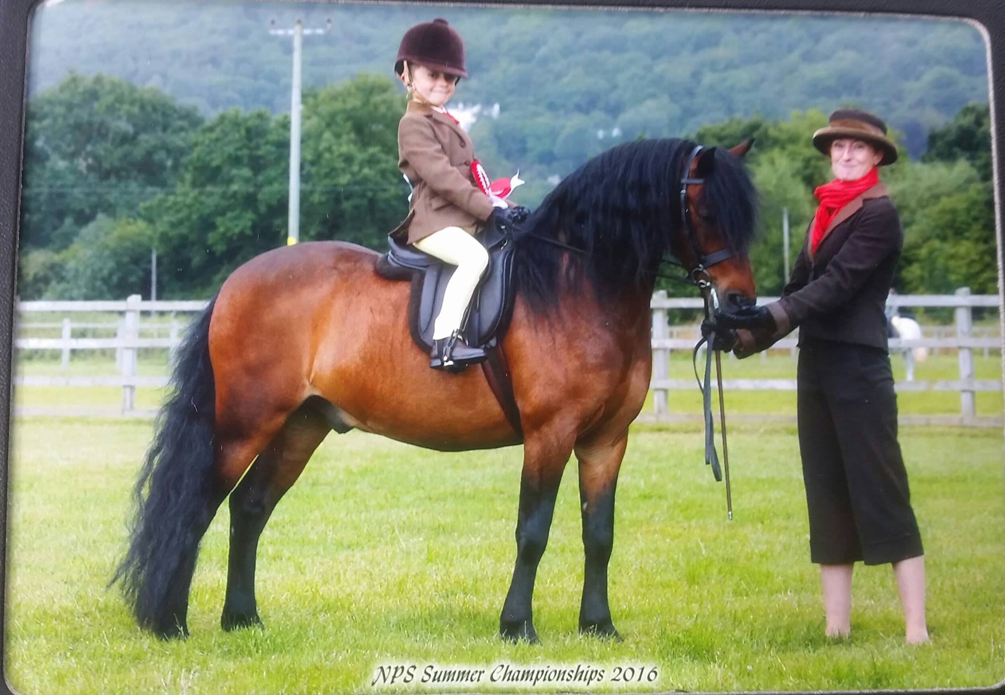 Pumphill fandango and Toby johnstone