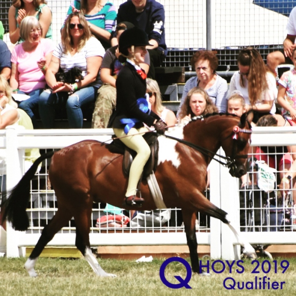 Isabella-Sharifi-and-Brookfarm-Davinci