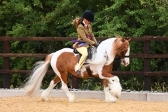 Ottillie-Simmonds-Horse_Pony-The-Rag-N-Boneman