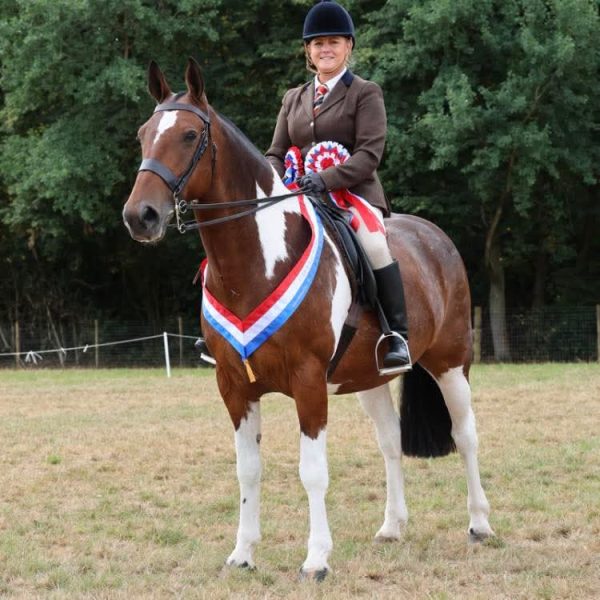 Emma-Irwin-Horse_Pony-BallyMoyle-StingRay