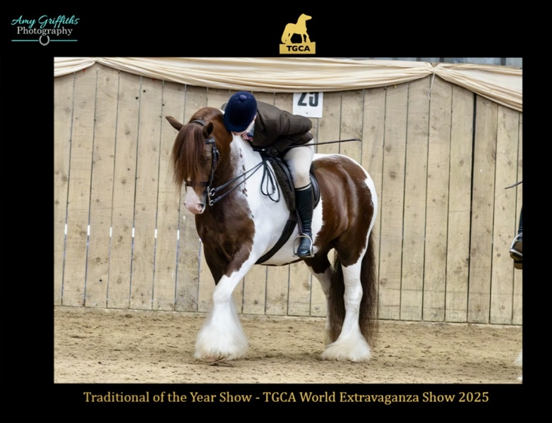 Grace-Winter-Horse_Pony-The-Gingerbread-Man