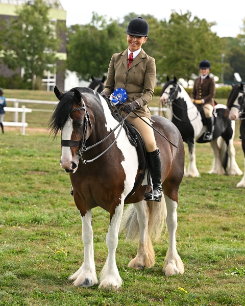 Meg-Edmondson-Horse_Pony-Lowmill-Alexus