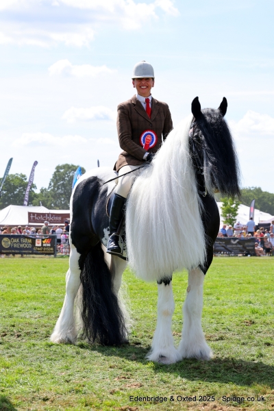 Sian-warman-Horse_Pony-Stanray-Xrated