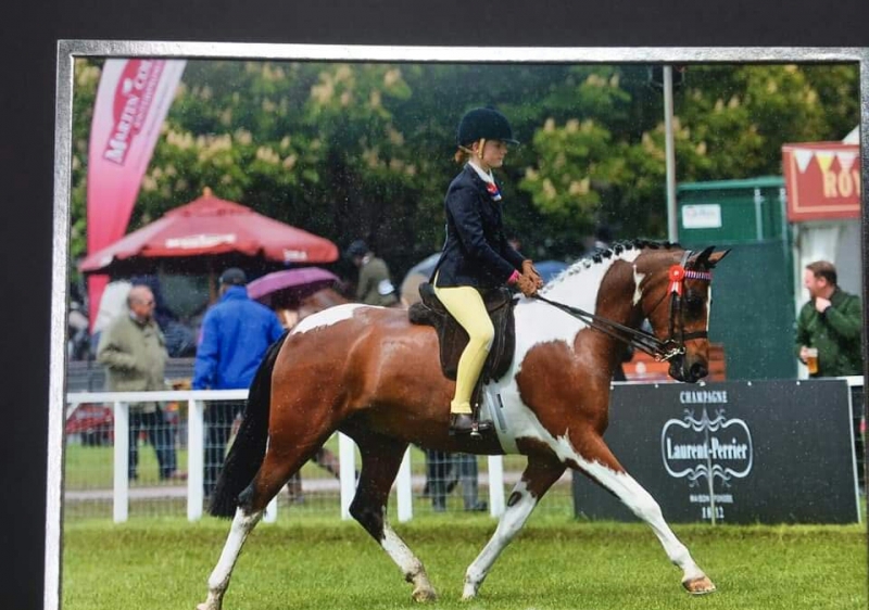 Molly Walsh and Bryntegllwynau Orchid