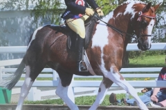 Lauren Baker and Barnaby Rudge IV