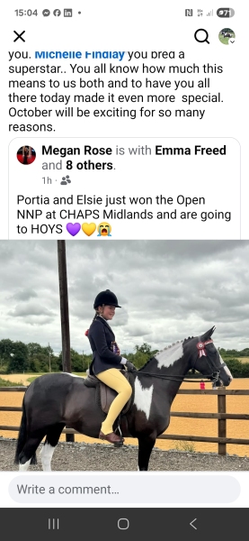 Elsie-Cowan-Horse_Pony-Penrock-Perfect-Puzzle