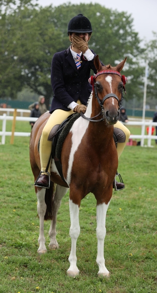 Megan-Victor-Horse_Pony-Owston-Special-Edition
