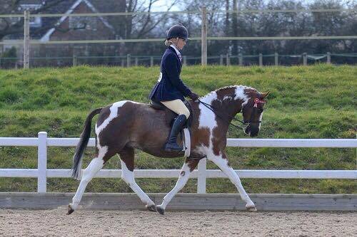 Barnaby Rudge and Amber Thorpe