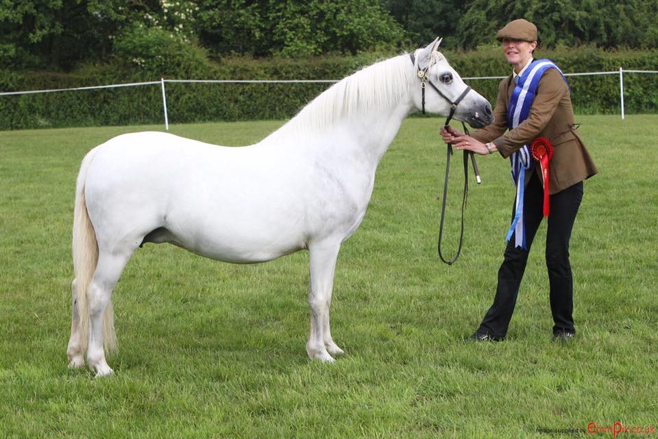 Fouroaks Coco Chanel