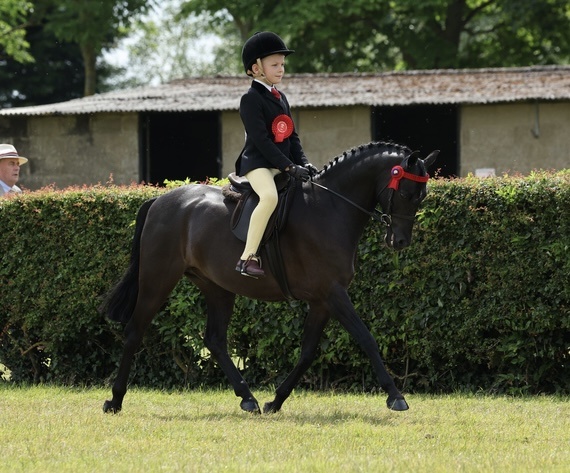 Lincolnshire County Show