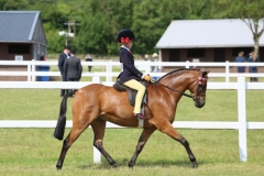 Margot-Hartland-Horse_Pony-Barkway-Alfie-Moon