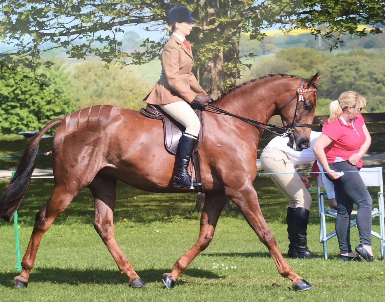 Laura Jones and sunnycroft pure silk