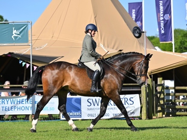 Amy-Williams-Horse_Pony-Remember-Rossmore