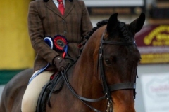 Zara-Alice-Bowden-Horse_Pony-Lostock-Paisley-park