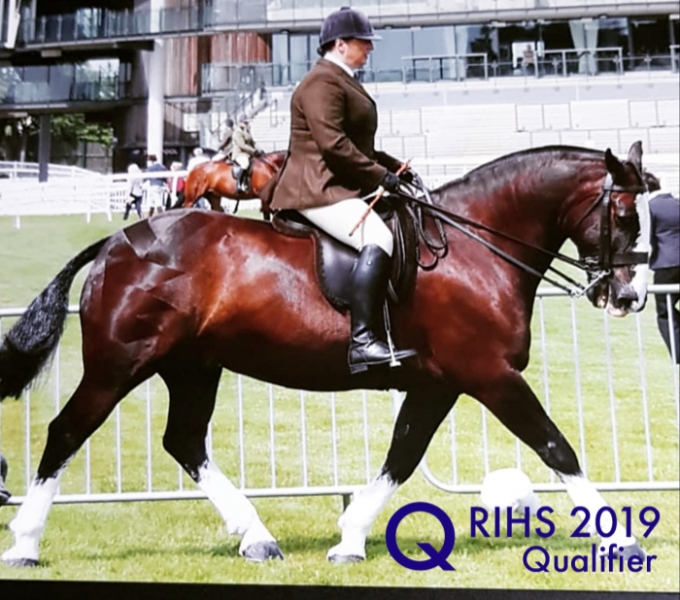 Gillian purgac and Ballygar joler