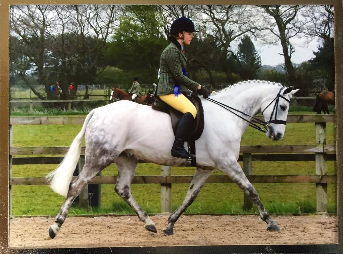 Pictus Sleepy Hollow and Donna Harrison