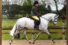Pictus Sleepy Hollow and Donna Harrison