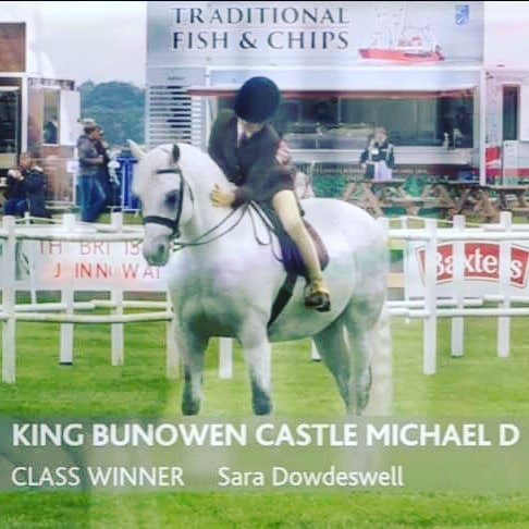 Tess-Lowe-and-King-Bunowen-Castle-Michael-D