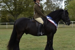 Chantelle-Chapman-and-Greenholme-Falcon-