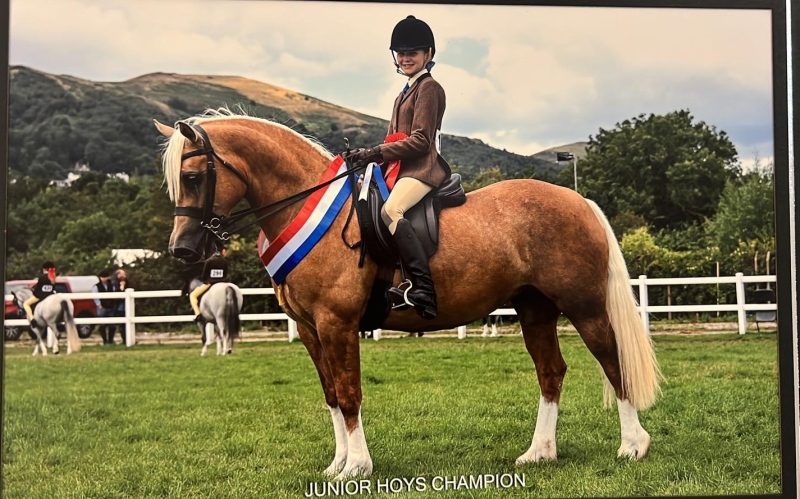 Nansi-Celyn-Evans-Brooks-and-Abbeyvale-Higher-Love