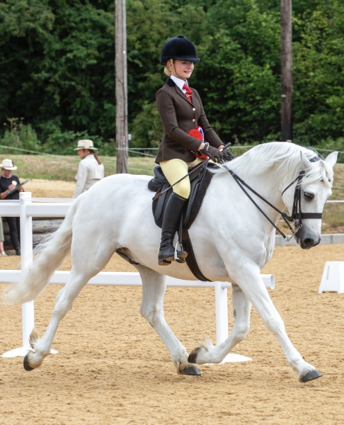 Harlow-white-Horse_Pony-King-bunowen-castle-Ali