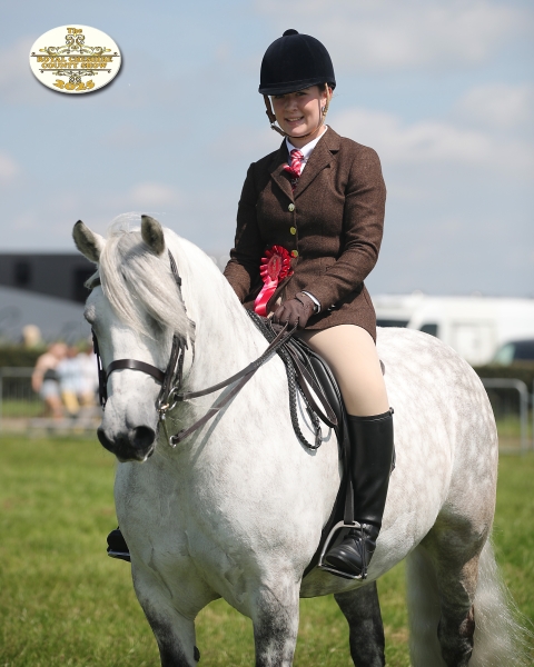 Holly-Smith-Horse_Pony-Kincardine-Uist