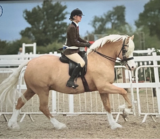 Olivia-Lavander-Andrews-Horse_Pony-Saulire-Thunder-Struck