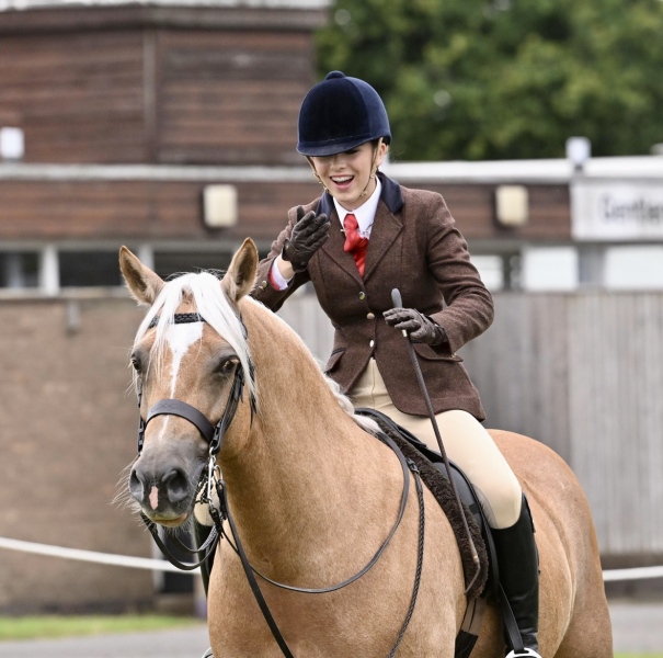 Scarlett-Rose-Whitehurst-Horse_Pony-Abbeyvale-Higher-Love