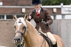 Scarlett-Rose-Whitehurst-Horse_Pony-Abbeyvale-Higher-Love