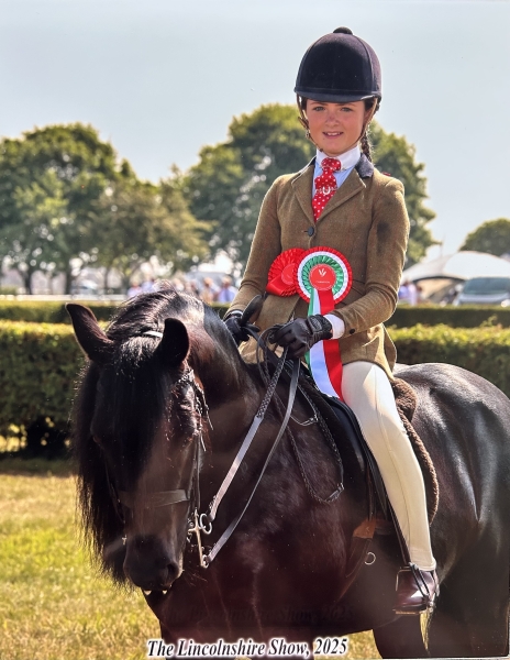 Aimee-Baldwin-Horse_Pony-Waverfoot-Solitaire