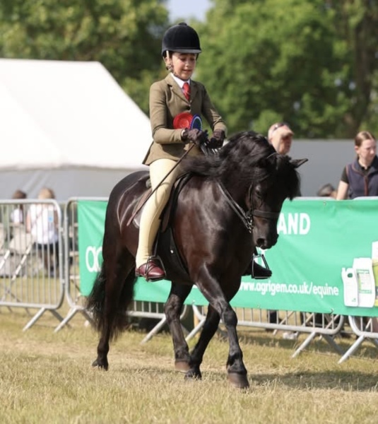 Beatrice-Tavener-Jordan-Horse_Pony-Shilstone-Rocks-Barn-Dance-II