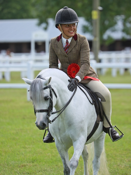 Bluebell-Beechey-Horse_Pony-Rofantina-Kindred-Spirit