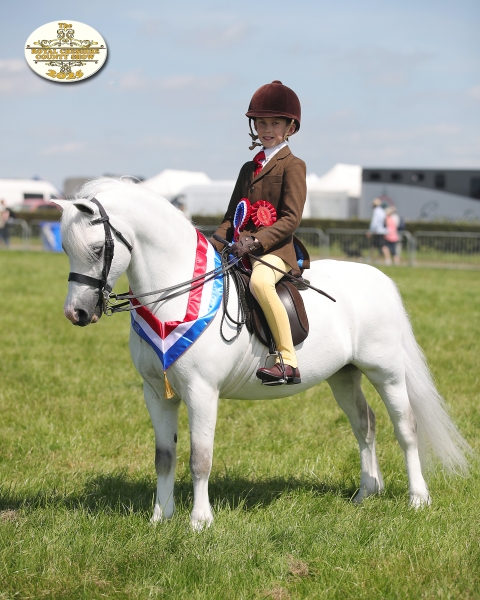 Charlie-lea-Horse_Pony-Crumpwell-Harry-potter