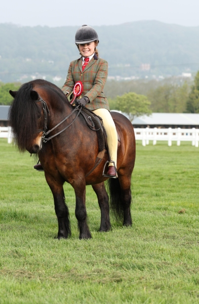 Ella-Rose-Wells-Horse_Pony-Felons-Red-Kite
