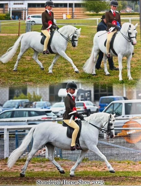 Lilly-Richardson-Horse_Pony-Glebedale-Sancerre