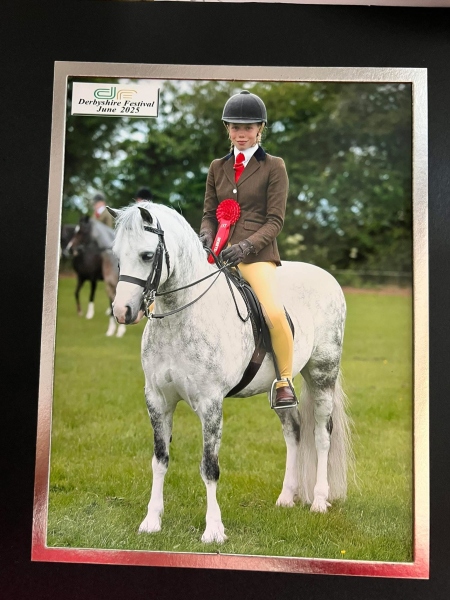 Lilly-Richardson-Horse_Pony-Marsh-Walk-On-By