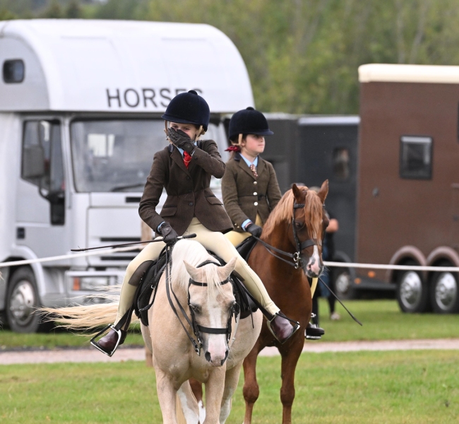 Lily-Kimmins-Horse_Pony-Abercamlais-Major
