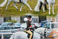 Lilly-Richardson-Horse_Pony-Glebedale-Sancerre