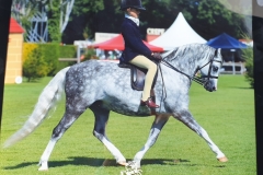Sam-Bentley-and-Glenlichd-Fair-Un-Square