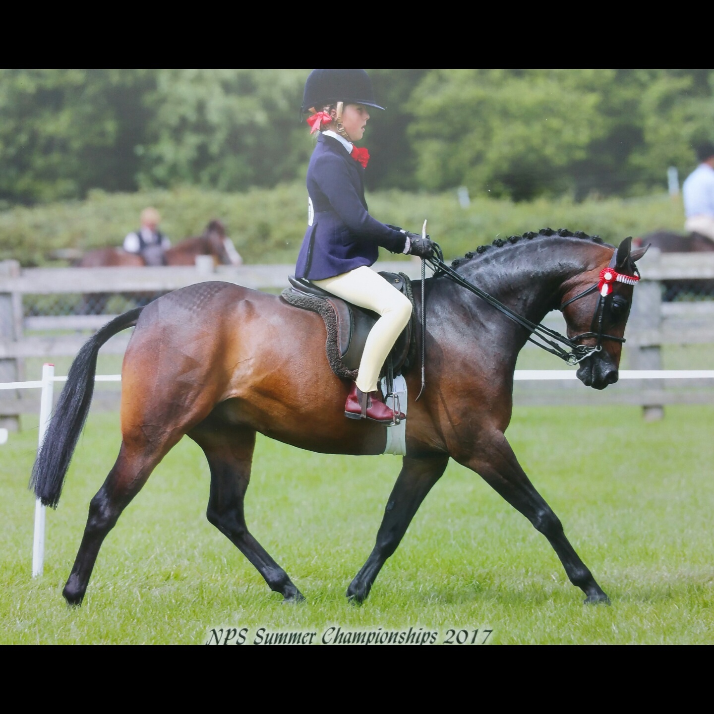 Katie Wadley and Ravara Jeremy Fisher