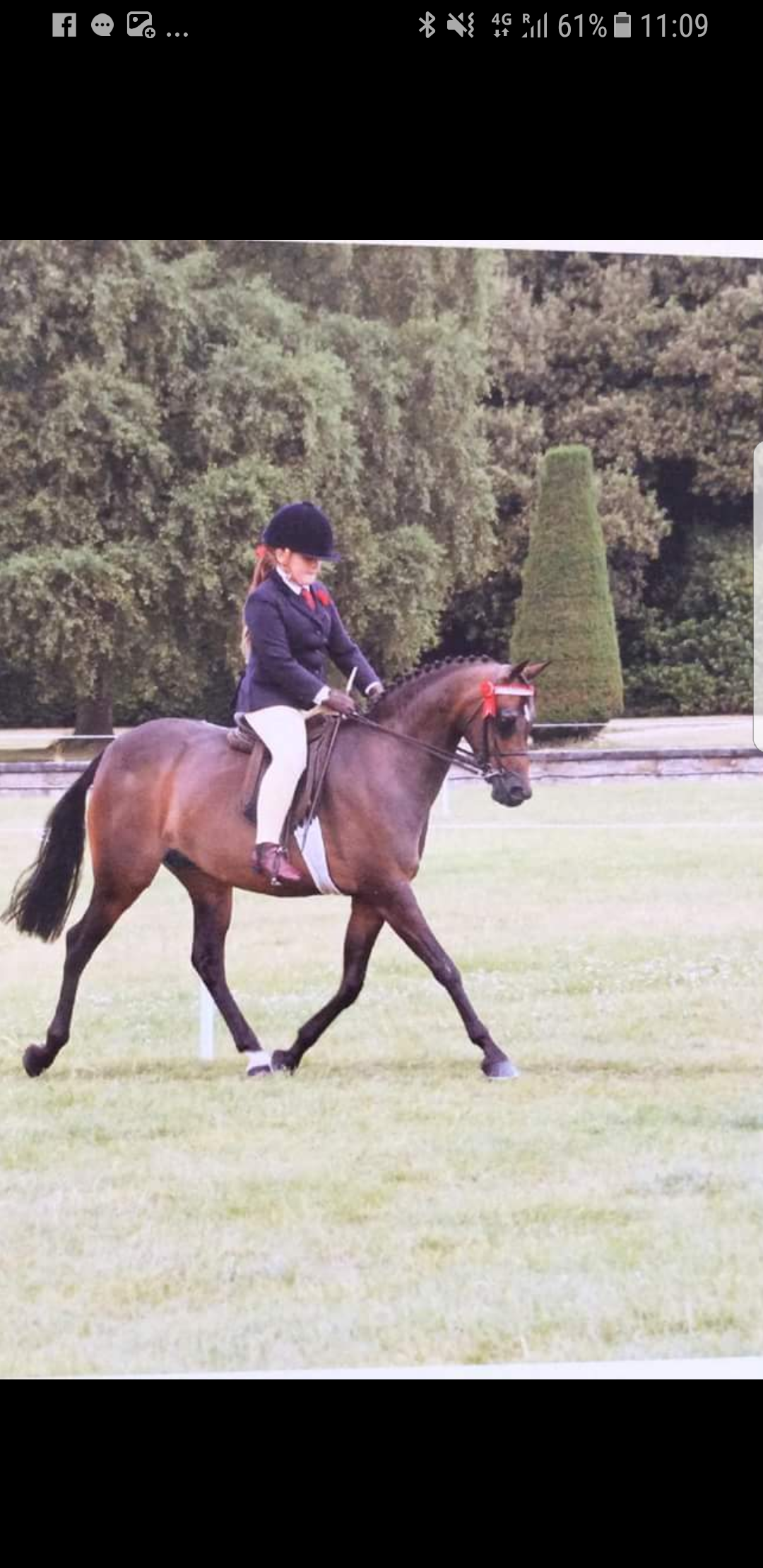 Katie wadley and Flecknoe starlight impression