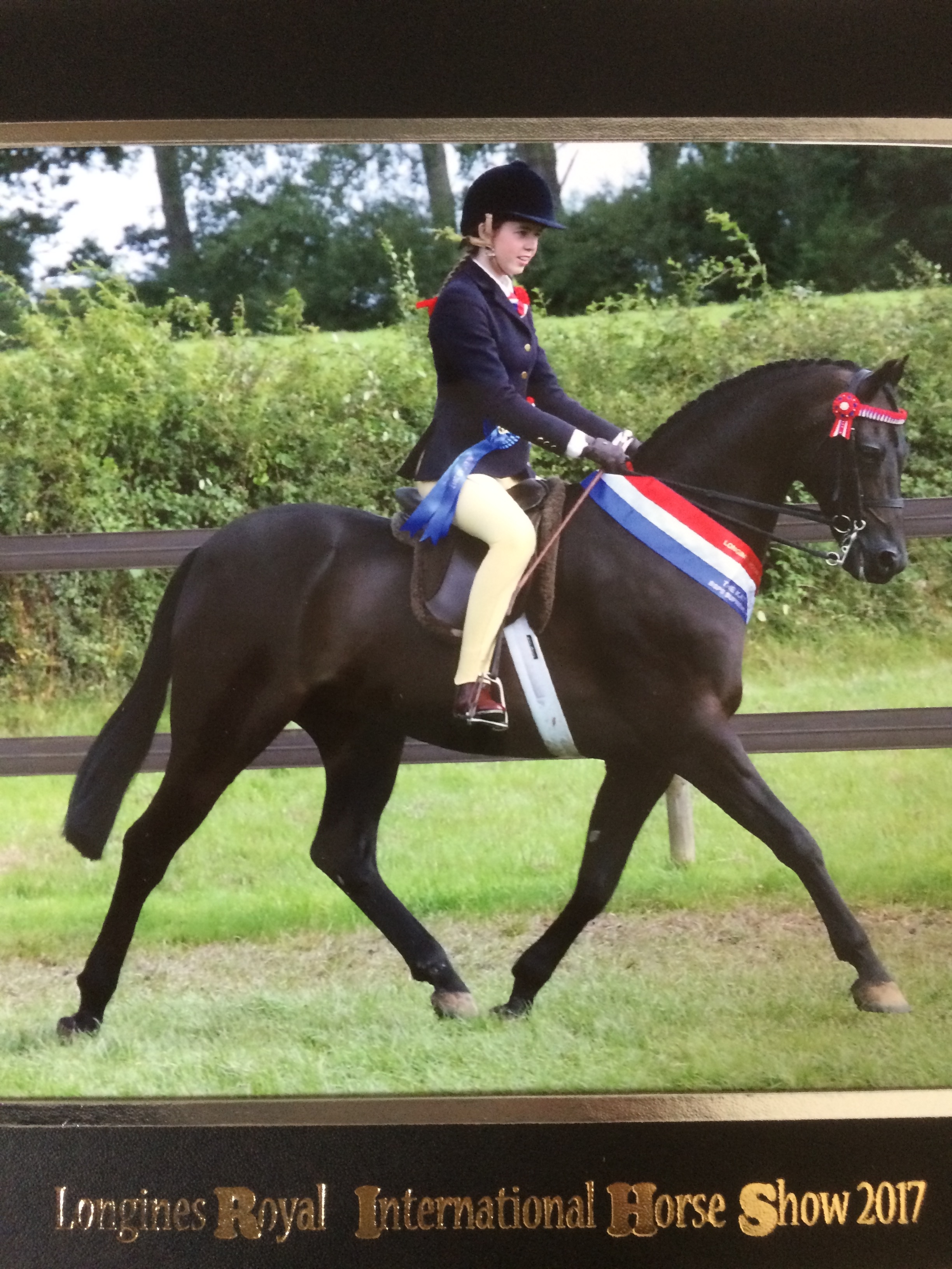 Madison Louise Dalley and Archwood Romeo Gigle