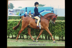 Aysha Al-safar and Harwent moonraker