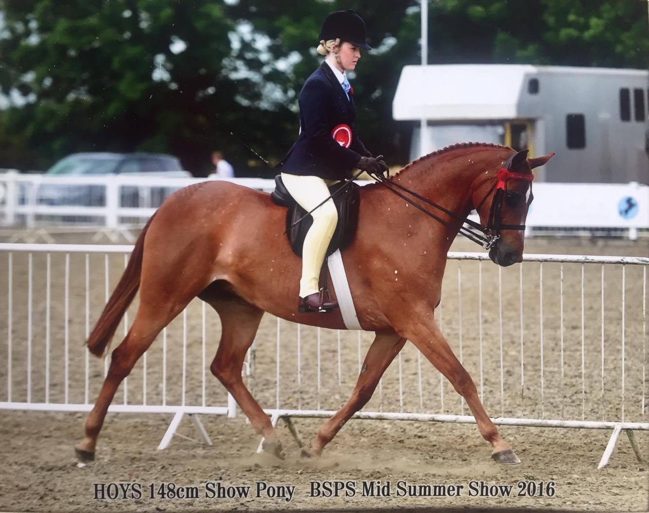 Rotherwood peeping star and Zoe Burton