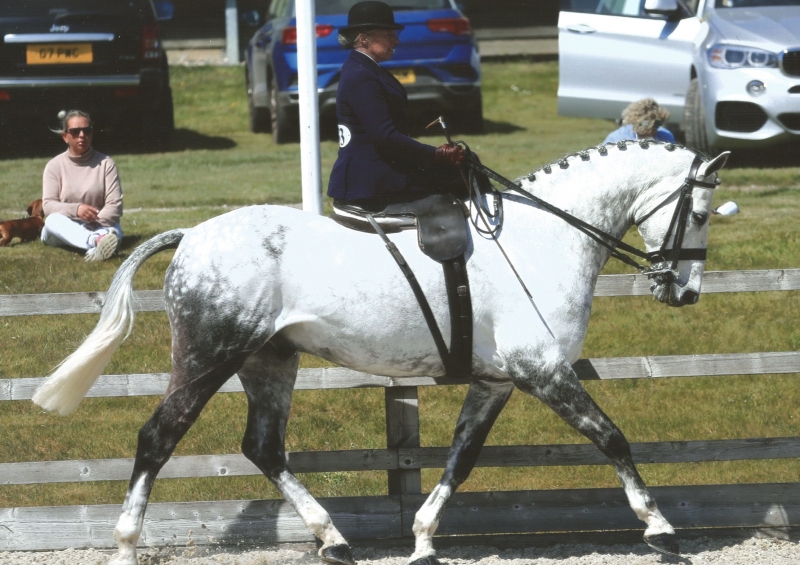 Penny-Clarke-and-Caledonia