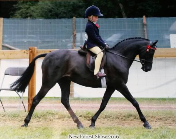 Warren fentiman and Barkway little star