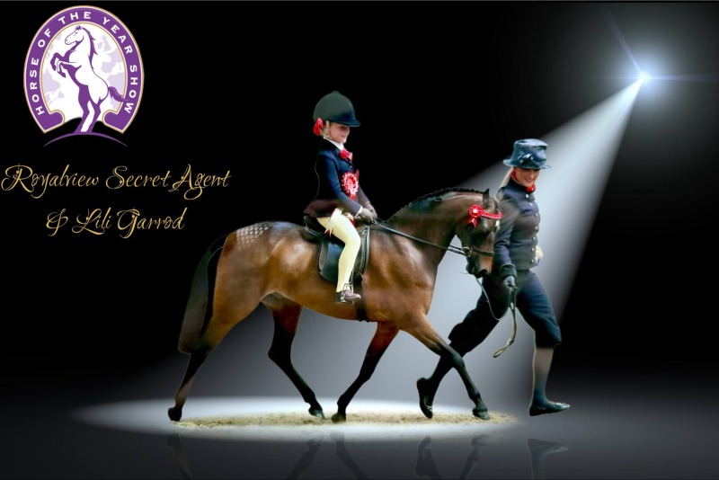 Lili-Garrod-Tomos-Horse_Pony-Royalview-Secret-Agent