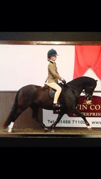Amelia Hayes and birkinbrook Juliet